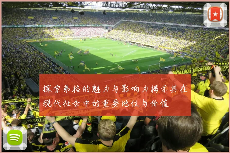 探索弗格的魅力与影响力揭示其在现代社会中的重要地位与价值