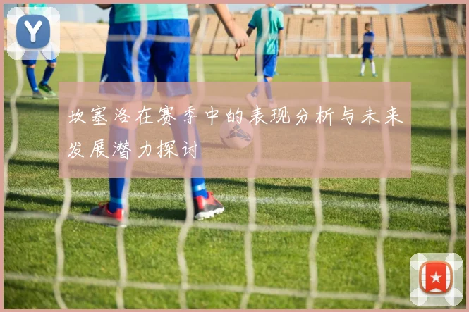 坎塞洛在赛季中的表现分析与未来发展潜力探讨
