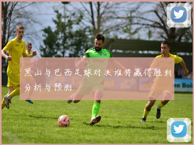 黑山与巴西足球对决谁将赢得胜利分析与预测