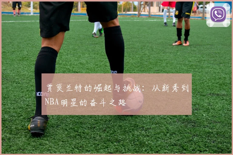贾莫兰特的崛起与挑战：从新秀到NBA明星的奋斗之路