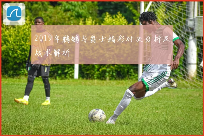 2019年鹈鹕与爵士精彩对决分析及战术解析