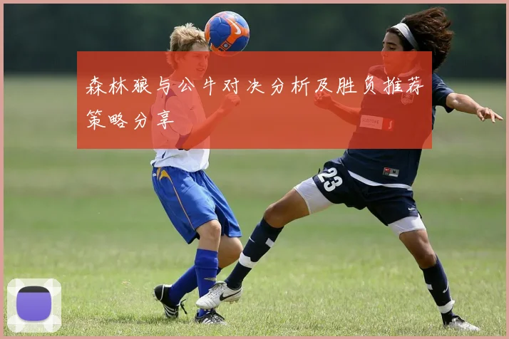 森林狼与公牛对决分析及胜负推荐策略分享