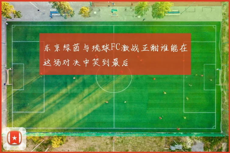 东京绿茵与琉球FC激战正酣谁能在这场对决中笑到最后