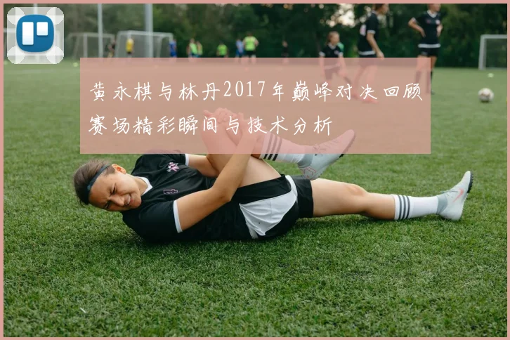 黄永棋与林丹2017年巅峰对决回顾赛场精彩瞬间与技术分析