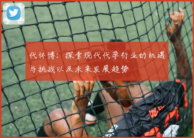 代怀博：探索现代代孕行业的机遇与挑战以及未来发展趋势