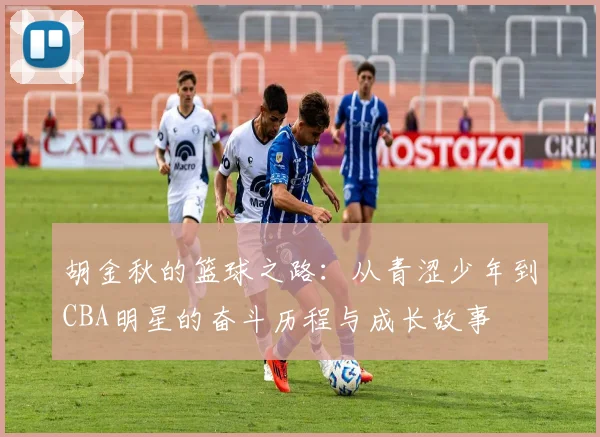 胡金秋的篮球之路：从青涩少年到CBA明星的奋斗历程与成长故事