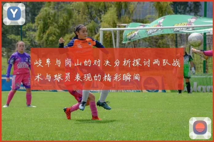 岐阜与岗山的对决分析探讨两队战术与球员表现的精彩瞬间